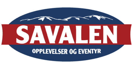 Savalen logo